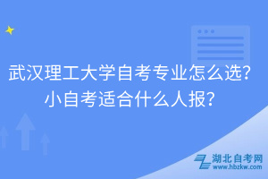 武漢理工大學(xué)自考專業(yè)怎么選？小自考適合什么人報(bào)？