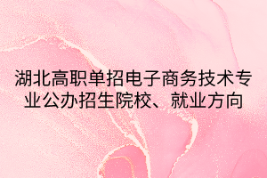 湖北高職單招電子商務(wù)技術(shù)專業(yè)公辦招生院校、就業(yè)方向