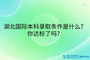湖北國際本科錄取條件是什么？你達(dá)標(biāo)了嗎？