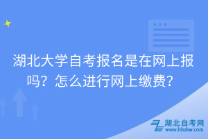 湖北大學(xué)自考報(bào)名是在網(wǎng)上報(bào)嗎？怎么進(jìn)行網(wǎng)上繳費(fèi)？