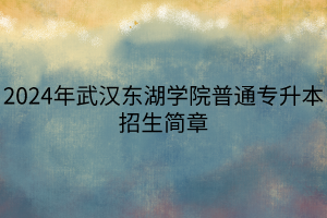 2024年武漢東湖學院普通專升本招生簡章