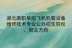 湖北高職單招飛機(jī)機(jī)載設(shè)備維修技術(shù)專業(yè)公辦招生院校、就業(yè)方向