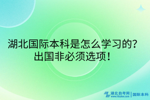 湖北國際本科是怎么學習的？出國非必須選項！