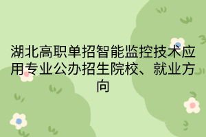 湖北高職單招智能監(jiān)控技術(shù)應(yīng)用專業(yè)公辦招生院校、就業(yè)方向