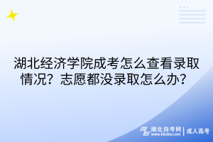 湖北經(jīng)濟(jì)學(xué)院成考怎么查看錄取情況？志愿都沒錄取怎么辦？