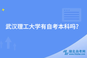 武漢理工大學(xué)有自考本科嗎？