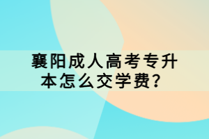 襄陽(yáng)成人高考專升本怎么交學(xué)費(fèi)？