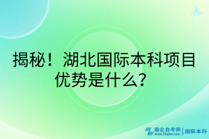 揭秘！湖北國際本科項目優(yōu)勢是什么？