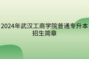 2024年武漢工商學院普通專升本招生簡章