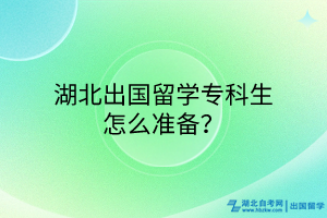 湖北出國留學?？粕趺礈蕚?？