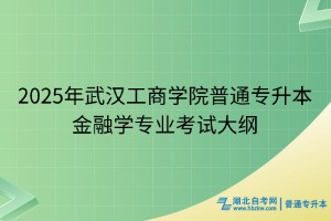 2025年武漢工商學院普通專升本金融學專業(yè)考試大綱