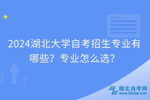 2024湖北大學(xué)自考招生專業(yè)有哪些？專業(yè)怎么選？