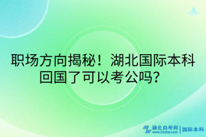 職場方向揭秘！湖北國際本科回國了可以考公嗎？