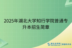 2025年湖北大學(xué)知行學(xué)院普通專升本招生簡章
