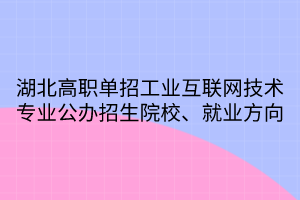 湖北高職單招工業(yè)互聯(lián)網(wǎng)技術(shù)專業(yè)公辦招生院校、就業(yè)方向