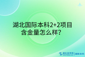 湖北國(guó)際本科2+2項(xiàng)目含金量咋樣？