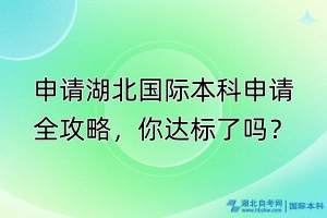 申請湖北國際本科申請全攻略，你達標了嗎？