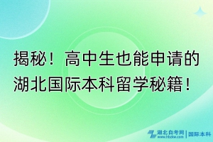 揭秘！高中生也能申請的湖北國際本科留學秘籍！
