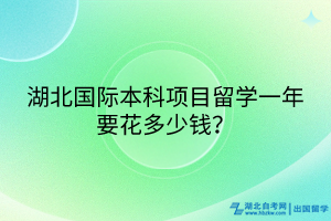 湖北國際本科項目留學(xué)一年要花多少錢？
