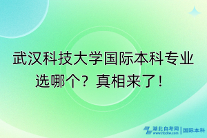 武漢科技大學(xué)國際本科專業(yè)選哪個(gè)？真相來了！