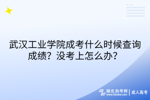 武漢工業(yè)學院成考什么時候查詢成績？沒考上怎么辦？