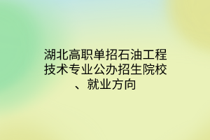 湖北高職單招石油工程技術(shù)專業(yè)公辦招生院校、就業(yè)方向