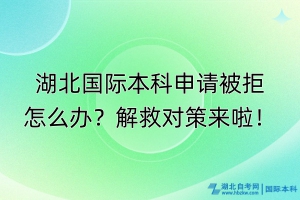 湖北國際本科申請被拒怎么辦？解救對策來啦！