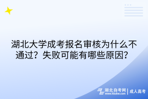 2024年湖北大學成考報名審核為什么不通過？失敗可能有哪些原因？