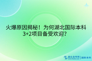 火爆原因揭秘！為何湖北國際本科3+2項目備受歡迎？