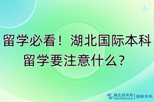 留學必看！湖北國際本科留學要注意什么？