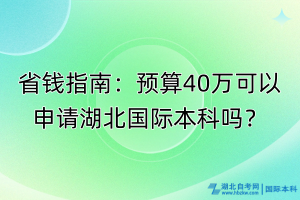 省錢指南：預(yù)算40萬可以申請(qǐng)湖北國際本科嗎？