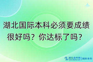 湖北國際本科必須成績很好嗎？你達(dá)標(biāo)了嗎？