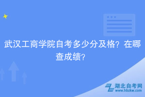 武漢工商學(xué)院自考多少分及格？在哪查成績(jī)？