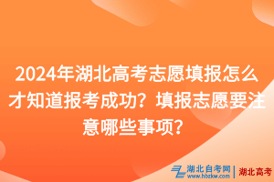 2024年湖北高考志愿填報怎么才知道報考成功？填報志愿要注意哪些事項？