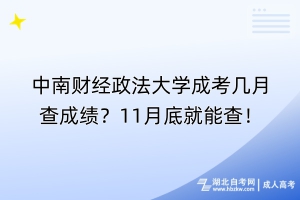中南財(cái)經(jīng)政法大學(xué)成考幾月查成績？11月底就能查！
