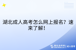 湖北成人高考怎么網(wǎng)上報名？速來了解！