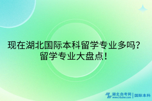 現(xiàn)在湖北國(guó)際本科留學(xué)專業(yè)多嗎？留學(xué)專業(yè)大盤點(diǎn)！