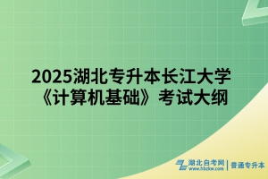 2025湖北專升本長江大學《計算機基礎》考試大綱