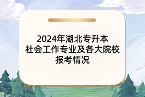 2024年湖北專升本社會工作專業(yè)及各大院校報(bào)考情況