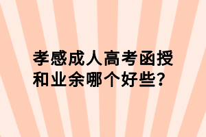 孝感成人高考函授和業(yè)余哪個(gè)好些？
