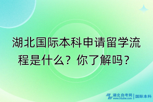 湖北國(guó)際本科申請(qǐng)留學(xué)流程是什么？你了解嗎？