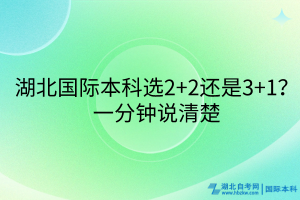 湖北國(guó)際本科選2+2還是3+1？一分鐘說(shuō)清楚