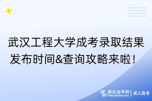武漢工程大學(xué)成考錄取結(jié)果發(fā)布時間&查詢攻略來啦！