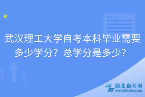 武漢理工大學(xué)自考本科畢業(yè)需要多少學(xué)分？總學(xué)分是多少？