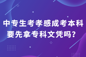 中專生考孝感成考本科要先拿專科文憑嗎？
