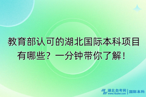 教育部認(rèn)可的湖北國(guó)際本科項(xiàng)目有哪些？一分鐘帶你了解！