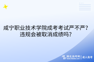咸寧職業(yè)技術(shù)學(xué)院成考考試嚴(yán)不嚴(yán)？違規(guī)會被取消成績嗎？