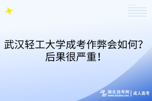 武漢輕工大學(xué)成考作弊會如何？后果很嚴(yán)重！