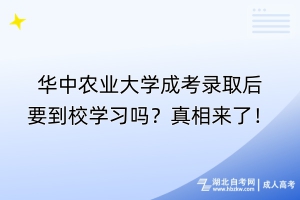 華中農(nóng)業(yè)大學(xué)成考錄取后要到校學(xué)習(xí)嗎？真相來了！