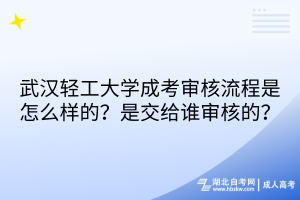 武漢輕工大學(xué)成考審核流程是怎么樣的？是交給誰審核的？